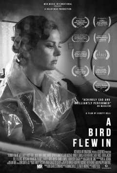 A Bird Flew In